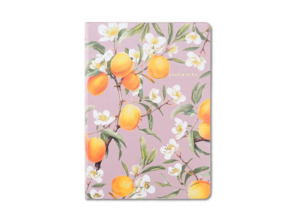 Notizbuch Victoria's Journals Smyth Art A5 120 Blatt liniert Aprikosen