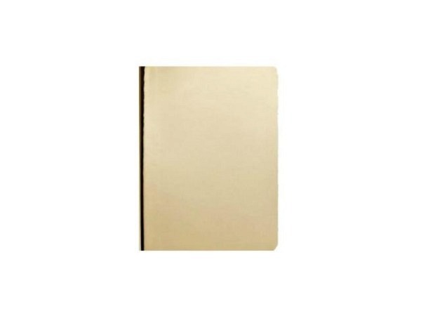 Notizbuch Nuuna Shiny Starlet Gold S 10,8x15cm