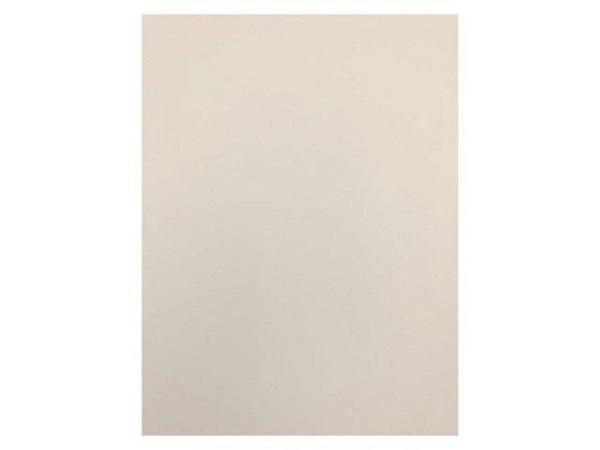 Papier RecyStar Nature A4 170g/qm 100Blatt Umweltschutzpapier