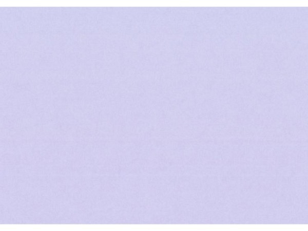 Papier Image Coloraction A4 160g/qm Tundra/lavendel 250 Blatt