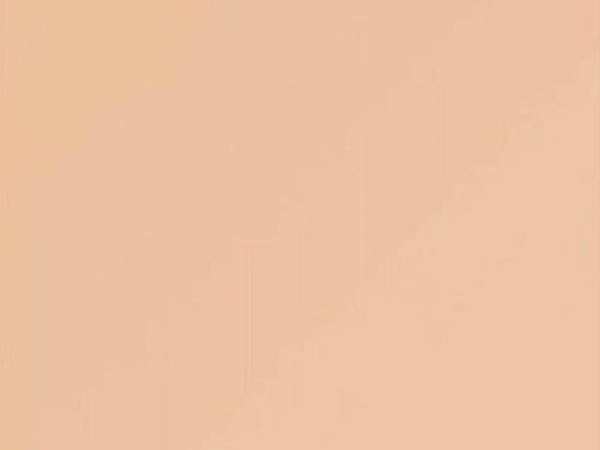 Papier Image Coloraction A3 120g/qm Savana/salm 250 Blatt