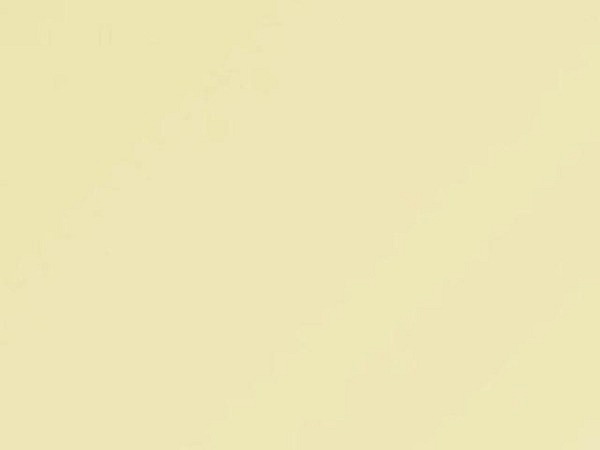 Papier Image Coloraction A3 120g/qm Atoll/elfenbeinf. 250 Blatt