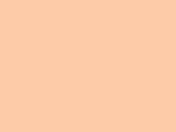 Papier Rainbow A3 160 lachs 250Blatt