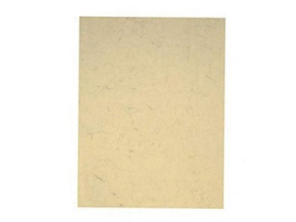 Pergament Folia A4 110g/qm chamois 10 Blatt