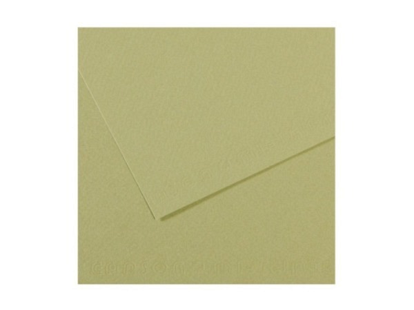 Mi-Teintes 50x65cm 160g/qm Hellgrün säurefrei 480