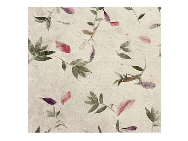 Naturpapier Olino Maulbeerpapier mit chongco/Bougainville-Blüten, 55x80cm, 160g/qm, Einzelbogen