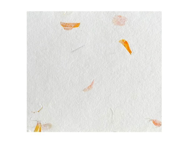 Naturpapier Olino Baumwolle weiss/Ringelblumen orange, 55x76cm, ca. 200g/qm