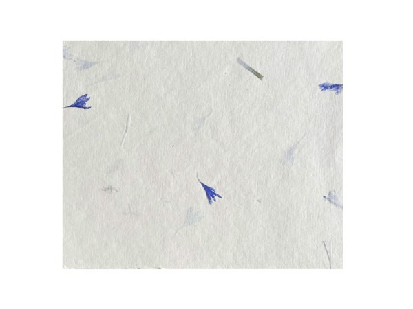 Naturpapier Olino Baumwolle Elfenbein/Kornblümchen Blau, 55x76cm, 200g/qm