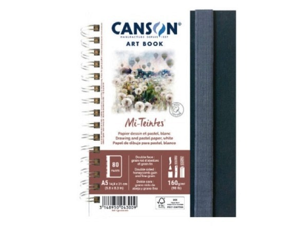 Skizzenbuch Canson Art Book Mi-Teintes