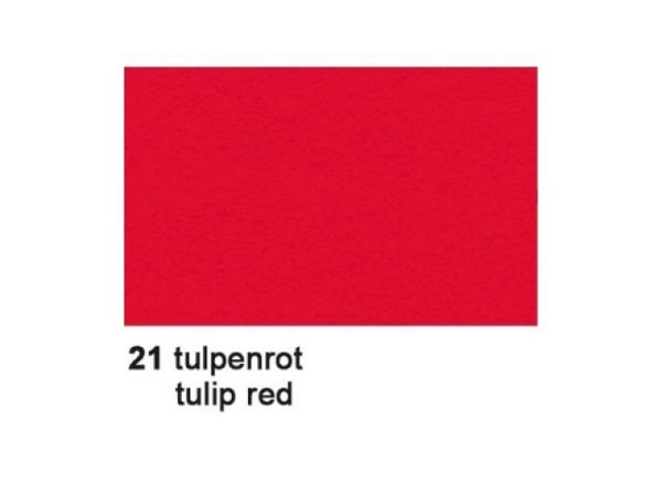 Fotokarton 70x100cm 300g/qm tulpenrot