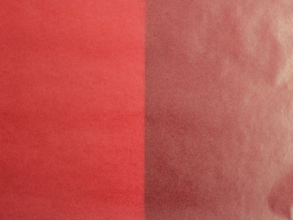 Pergamin Folia 70x100cm rot 42g/qm