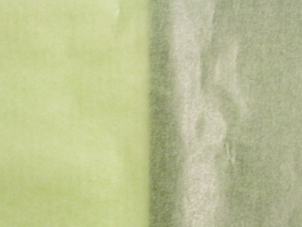 Pergamin Folia 70x100cm hellgrün 42g/qm