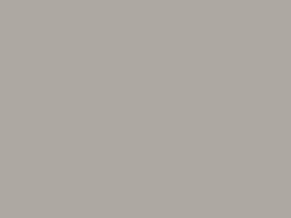 Folie d-c-fix einfarbig seidenmatt grau (RAL 7042)