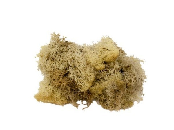 Moos 50g naturfarben weich