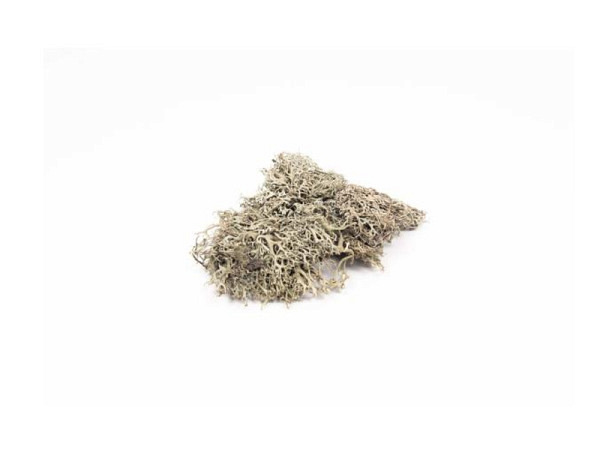 Moos Glorex 50g Graumoos