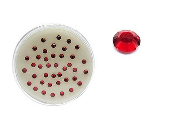 Perlen Swarovski Hotfix