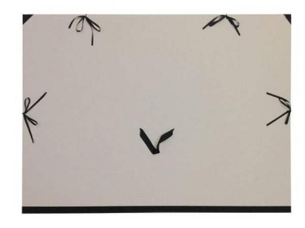 Zeichenmappe Graukarton 86A0 86x122cm A0 (84x120cm)