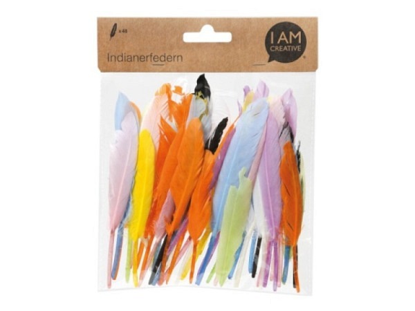 Dekofedern I am creative Indianerfedern 48Stk 12 - 15cm