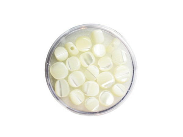 Perlen Pracht Muschel Half round weiss