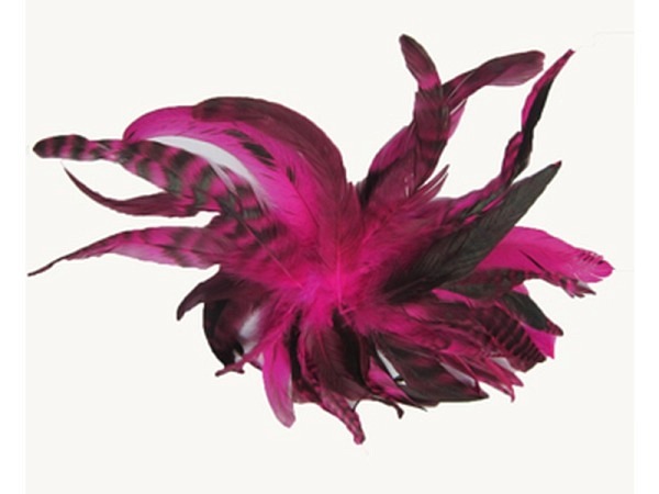 Federn Banro Hahnenschlappen pink 