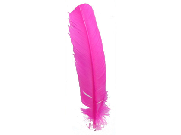 Federn Banro Indianerfedern pink 