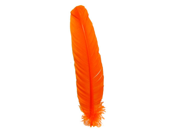 Federn Banro Indianerfedern orange 