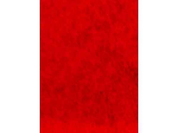 Filz Bottsa Trendy Filz