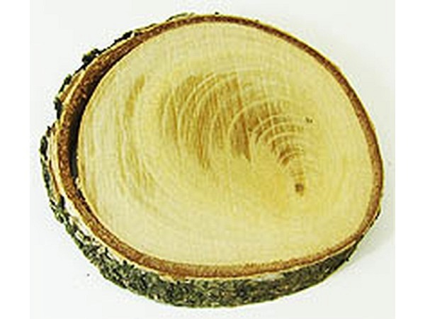 Holzscheiben Gertrude Kimmerle Baumscheiben