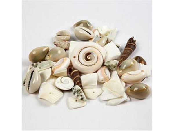 Perlen Creativ Company Strandmuschelperlen
