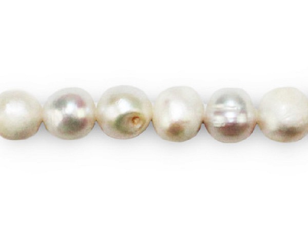 Perlen Pracht Süsswasserperle weiss 5mm, 7Stk