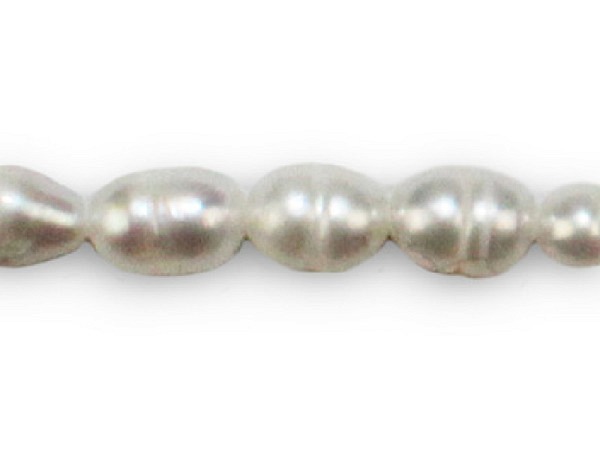 Perlen Pracht Süsswasserperle weiss 6x7mm, 5Stk