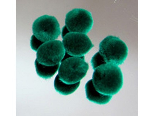 Pompom Rayher Pompon 15mm