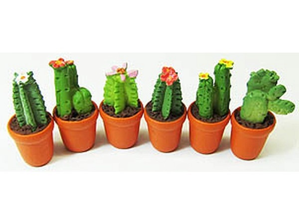 Miniatur Deko Kaktus 25mm assortiert per Stück
