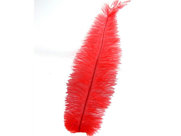 Federn Banro Straussenfeder 30cm