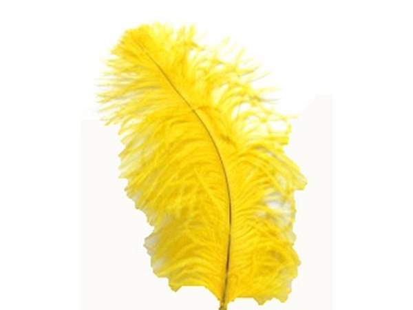 Federn Banro Straussenfeder 30cm