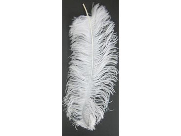 Federn Banro Straussenfeder 30cm