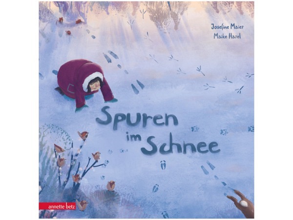 Buch Spuren im Schnee