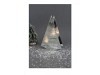 Bild 2 von 2