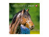 Bild 1 von 2