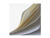 Bild 7 von 7