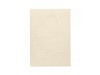 Papier Artoz 1001 A4 100g/qm ivory 5 Stk.