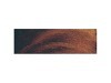 Oel Talens Rembrandt 15ml Umbra gebrannt 409, Serie 1